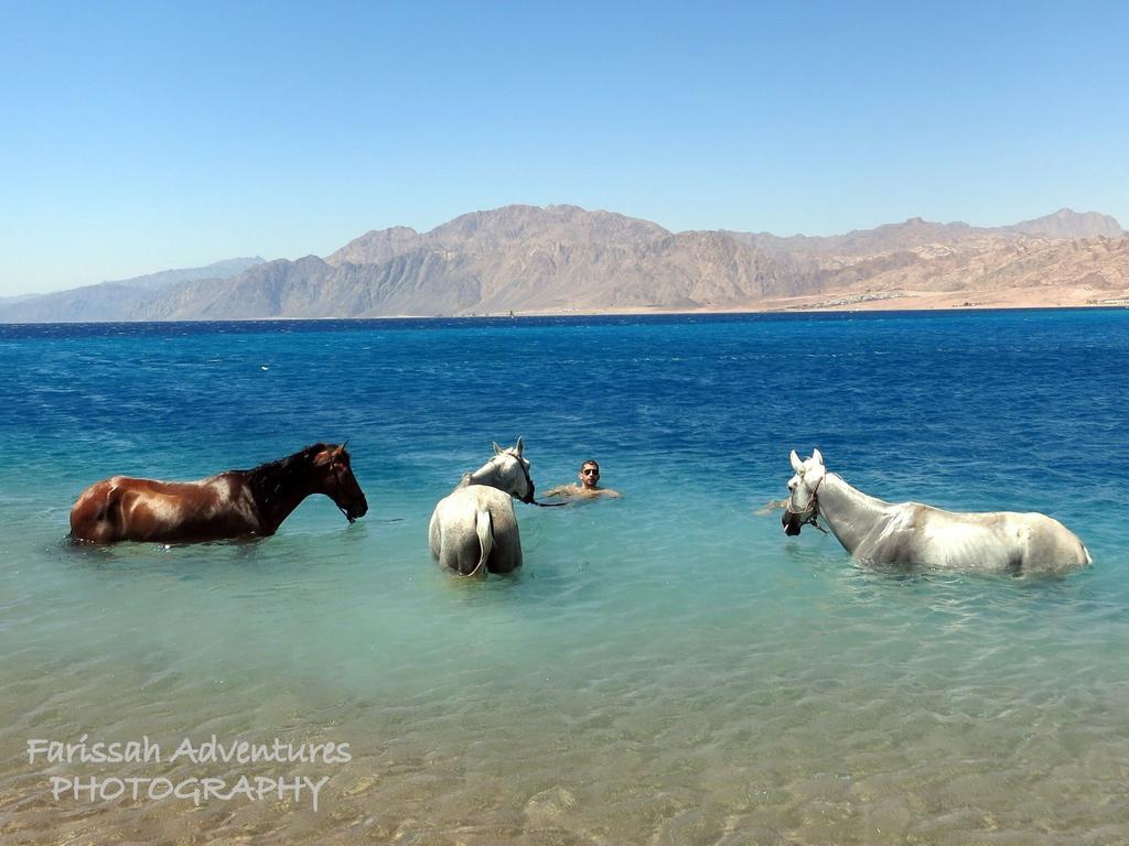 דהב Blue Beach Club מראה חיצוני תמונה